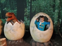 img20231206143619-kopiowanie-jpg1706818775